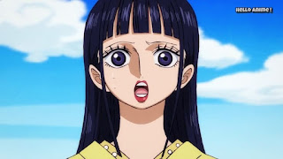 ワンピースアニメ 916話 ワノ国編 | ONE PIECE残雪の菊の丞 お菊 かわいい Kikunojo Okiku