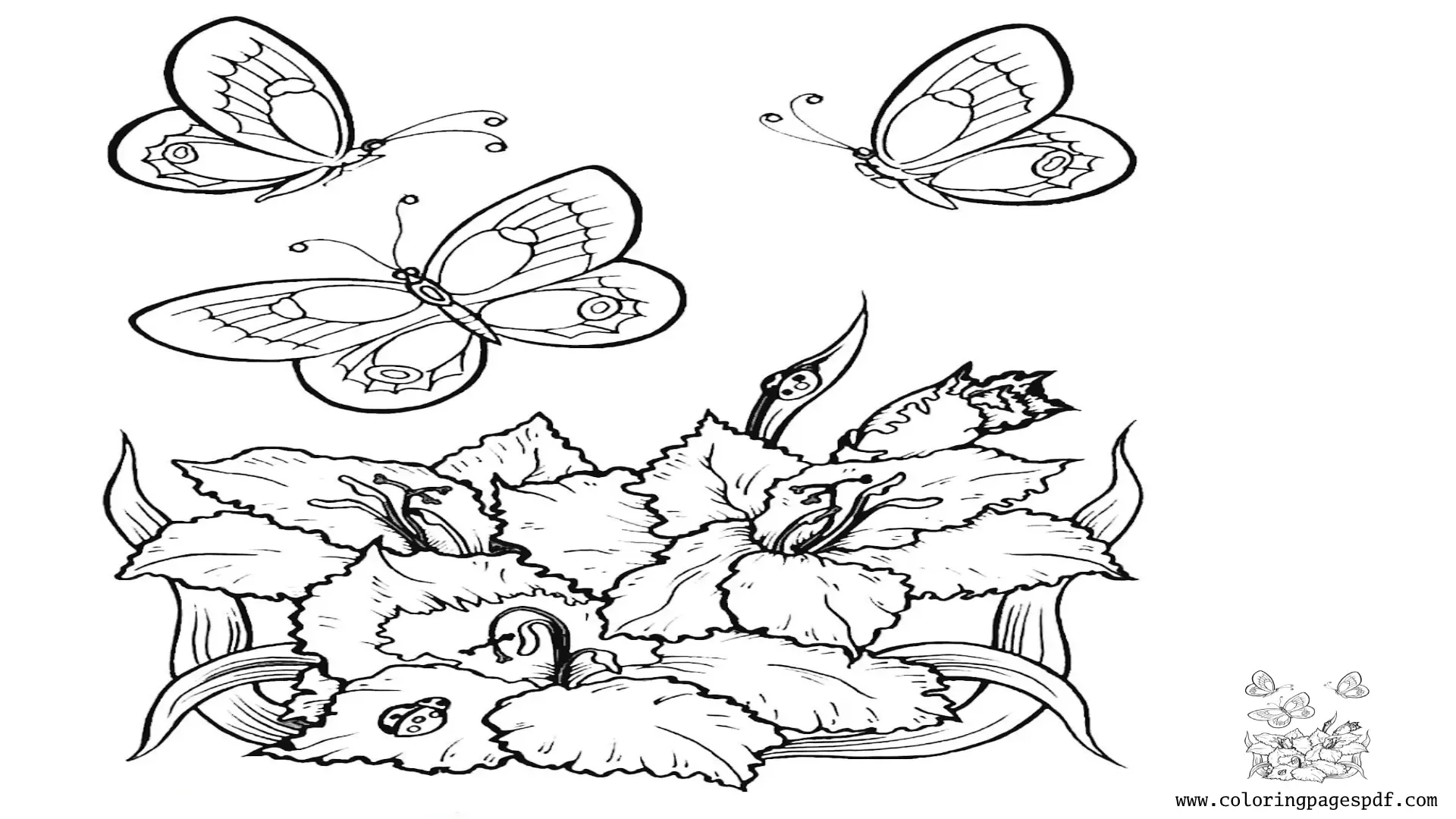 Coloring Page Of Three Butterflies On Top Of Plants And Flowers