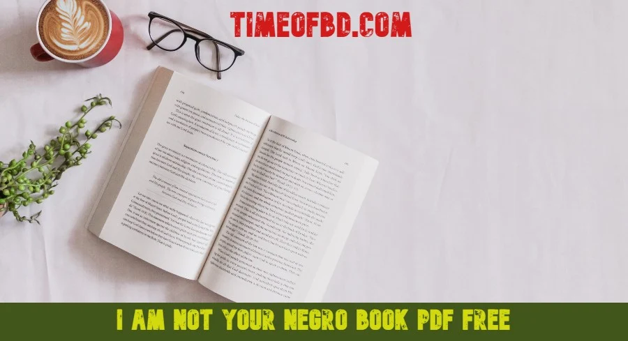 i am not your negro book pdf free, i am not your negro netflix, i am not your negro, i am not your negro book