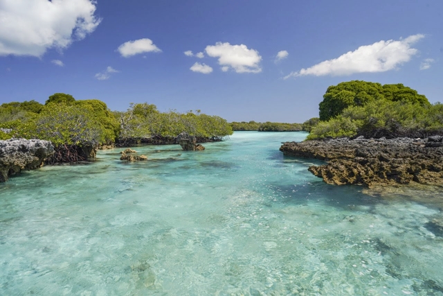 TURISMO: Belezas submarinas de Seychelles, conheça três dos melhores destinos para a prática de mergulho no Arquipélago