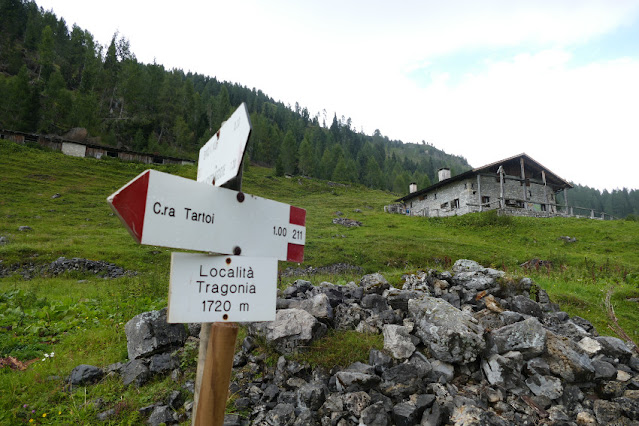 giro delle malghe forni di sopra