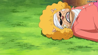 ワンピースアニメ 778話 ペコムズ | ONE PIECE Episode 778