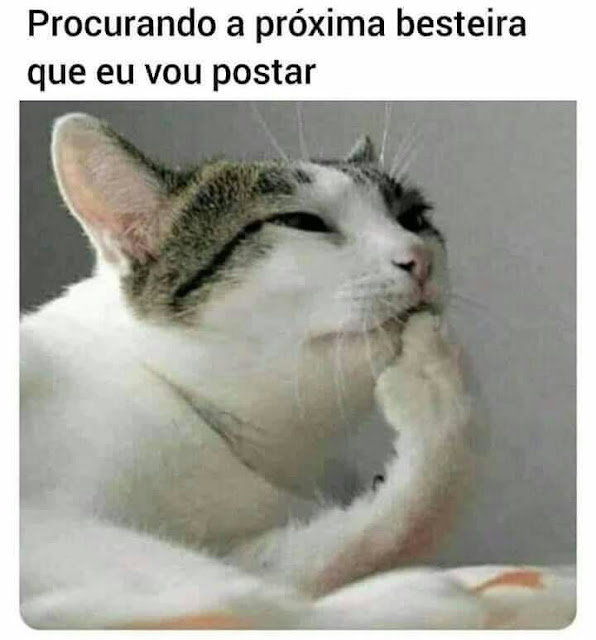 150 memes fofos de animais para você ter na manga