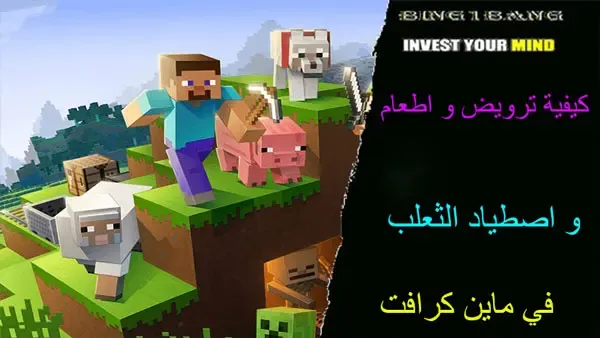 كيفية ترويض و اطعام و اصطياد الثعلب في ماين كرافت، ماين كرافت، ماين كرافت الجوال، سيرفرات ماين كرافت، فلم ماين كرافت، سيرفر ماين كرافت الجوال، سيرفرات ماين كرافت الجوال، فيلم ماين كرافت، افلام ماين كرافت، سيرفر ماين كرافت، سيرفر ماين كرافت للجوال، سيرفرات ماين كرافت للجوال، كيف تسوي سيرفر في ماين كرافت الجوال، تحميل ماين كرافت، مودات ماين كرافت، شروحات ماين كرافت، مودات ماين كرافت الجوال، فلم ماين كرافت الغني و الفقير، شروحات ماين كرافت الجوال، افضل مودات ماين كرافت، إصدارات ماين كرافت الجوال