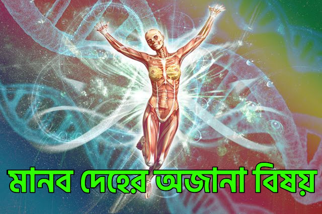 মানবদেহ সম্পর্কে অদ্ভুত কিছু মজার তথ্য | Manob deho somporke odvut kisu mojar tottho