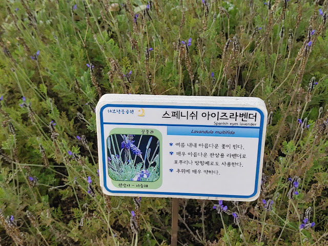 허브천문공원