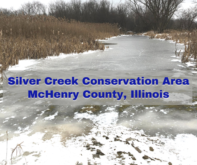 Hiking and Cross-Country Skiing Delight at Silver Creek Conservation Area in Cary, Illinois