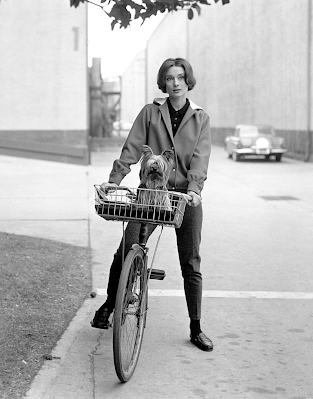 black and white photograph of actress Audrey Hepburn standing with her bicycle that has her pet dog in the basket, on the lot of Paramount Studios in Hollywood, 1957