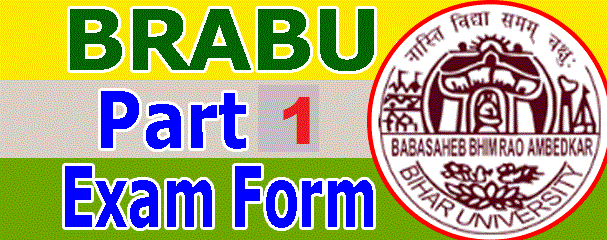 BRABU BA Part 1 Exam Form 2022, Bihar University UG 1st Year Exam Form Online