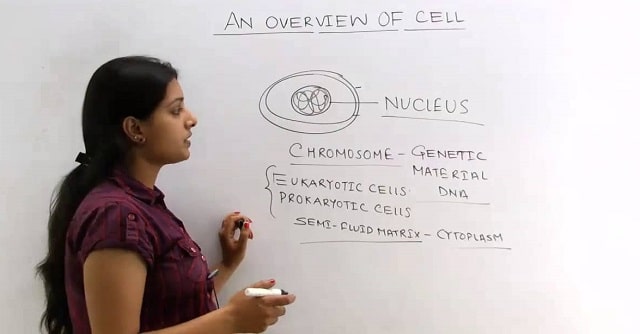 neet biology exam study guide cell structure questions function notes