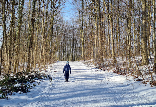 Küsten-Spaziergänge rund um Kiel, Teil 8: Schlitten-Spaziergang über den Kuckucksberg. Eine Runde auf dem Kuckucksweg ist zu jeder Jahreszeit eine gute Idee, besonders aber im Winter mit Kindern und Schlitten!