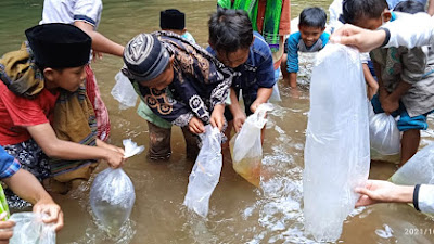 Peringati Hari Santri, GP Ansor Ranting Desa Seren Tebar 10.000 Ekor Benih Ikan