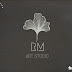 I will Design a Professional Logo, Signature and Vector art