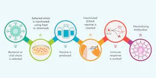 Inactivated vaccine