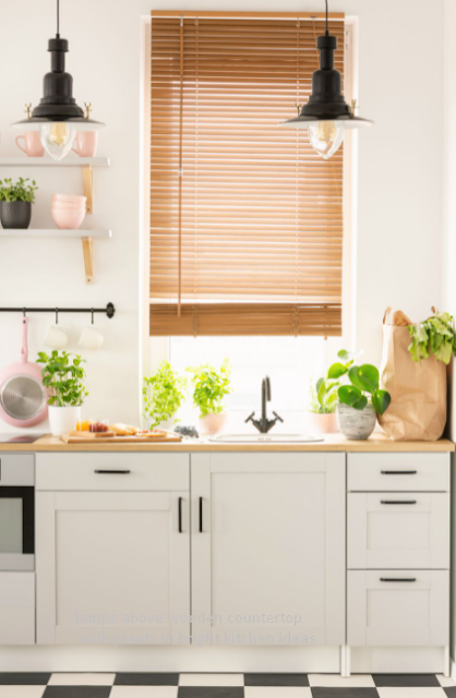 lamps above wooden countertop with plants in bright kitchen ideas