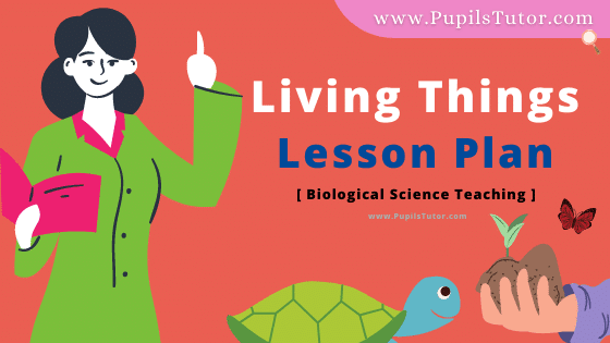 Living Things Lesson Plan For B.Ed, DE.L.ED, BTC, M.Ed 1st 2nd Year And Class 5 and 6th General And Biological Science Teacher Free Download PDF On Real School Teaching Skill In English Medium. - www.pupilstutor.com