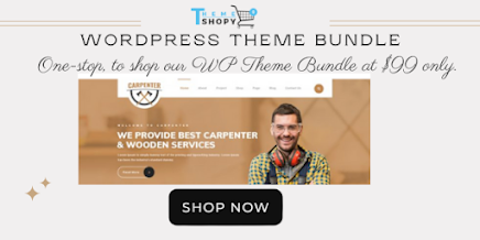 WordPress Theme Bundle