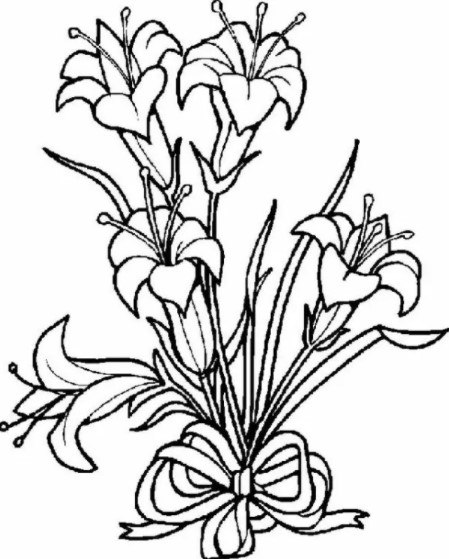 Lily Flower Coloring Pages PDF to Printable