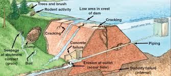 How do various dam types and their failure mechanisms influence disaster outcomes?