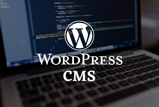 what is cms wordpress what is wordpress wordpress uses business wordpress website developer