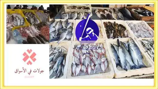 أسعار الأسماك في مصر اليوم