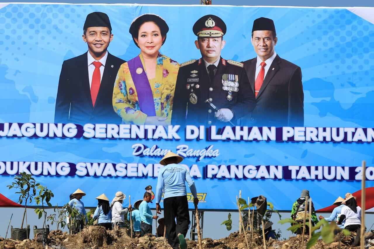 Gambar