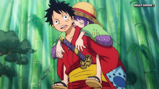 ワンピースアニメ 897話 ワノ国編 | ルフィ かっこいい | ONE PIECE Monkey D. Luffy