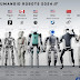 Humanoid Robots as of Y2024