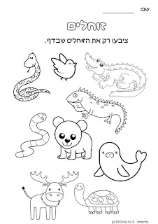 דפי עבודה חיות בעלי חיים לילדים בגיל הרך