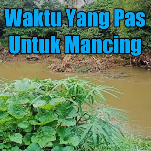 Jam Yang Tepat Untuk Mancing - Untuk pergi mancing terkadang ada orang yang di sesuaikan dengan keadaan atau pas lagi sengang, tapi ada juga yang menentukan jam tepat untuk mancing dan ada juga yang tidak memikirkan waktu untuk mancing, jam berapa saja pengenya mancing berangkat.