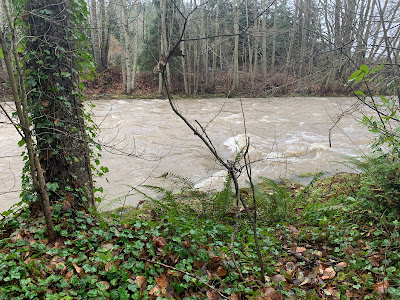 Morse Creek during December rainy weather