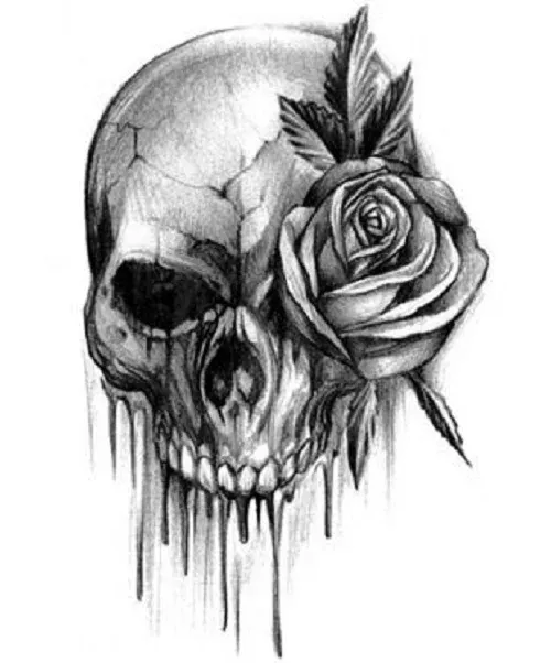 human skull with rose flower