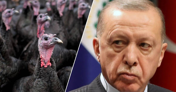 « Turkey 😂 » : La Turquie change son nom anglais pour ne plus être confondue avec le mot dinde