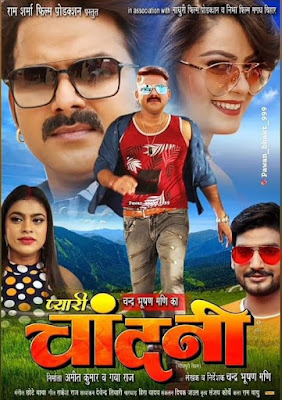 Pyari Chandani Pawan Singh Bhojpuri Movie pawan singh and nidhi jha