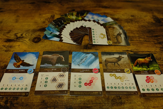 cascadia board game 5種野生動物各會挑或是隨機用一種計分方式