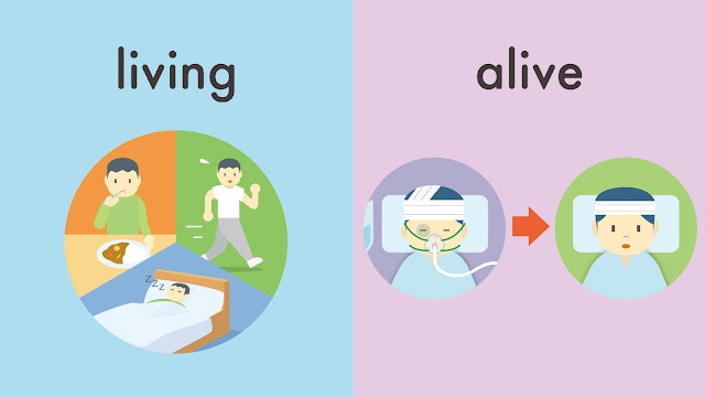 living と alive の違い