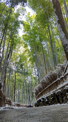 嵐山 京都 竹林の小径