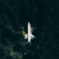 Airplane among green trees of forest