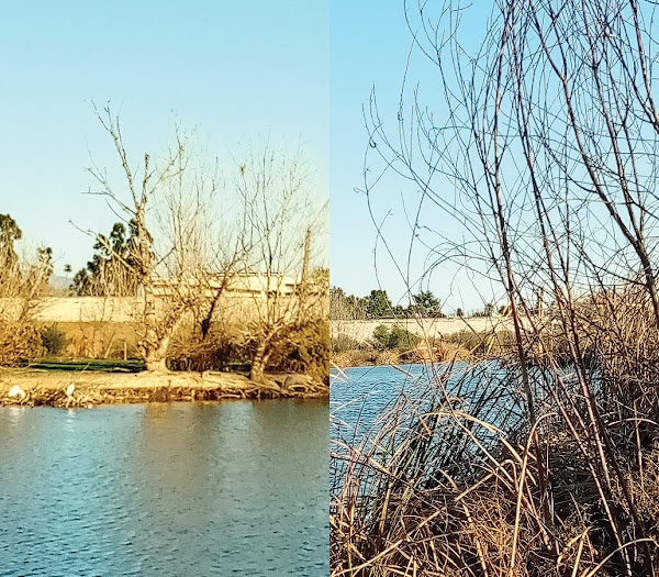 Sepulveda Basin Wildlife Preserve