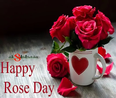 Happy Rose Day Photos