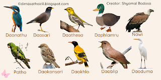 Birds Name in Dimasa and English