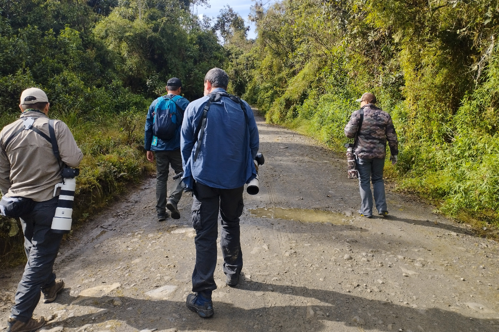 Colombia y Curazao: Pajareo, Amazonas y Caribe - Blogs de Colombia - Día 7: Salida con la Sociedad Caldense de Ornitología (4)