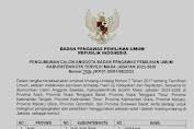 Selamat! Inilah Anggota Bawaslu Kabupaten Kota NTB 2023-2028 Terpilih, Dilantik Besok di Jakarta
