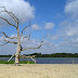 Suffolk Coast Path - Lowestoft to Southwold Beach Route