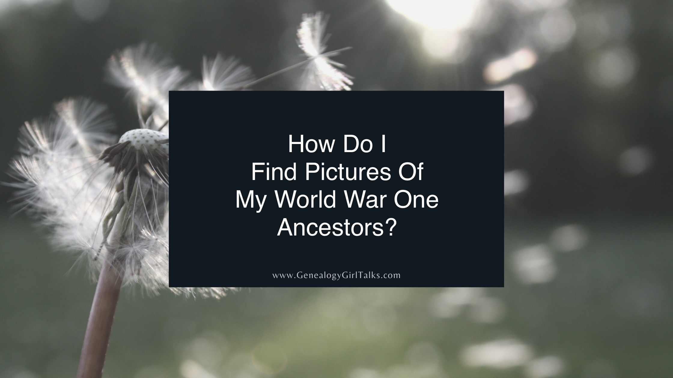 How Do I Find Pictures Of My World War One Ancestors by Genealogy Girl Talks