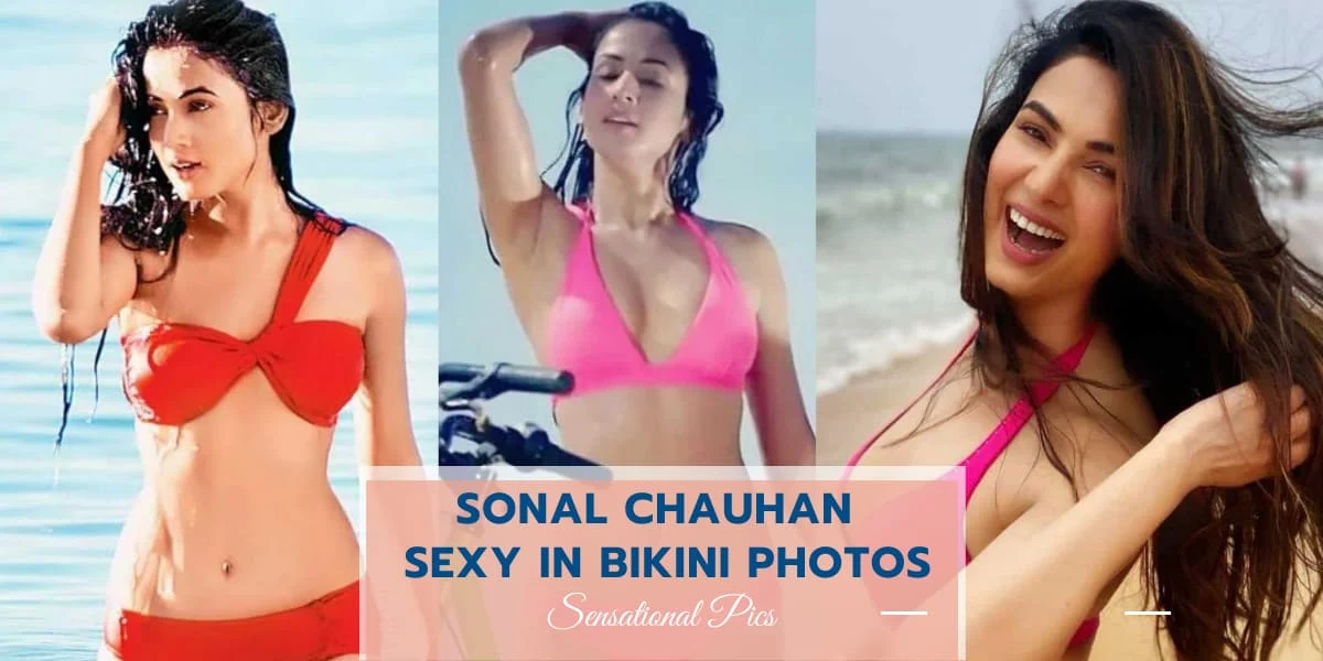 Sonal Chauhan Sexy Bikini & Lingerie Photos