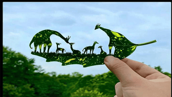 See the amazing art made from plant leaves in these 10 pictures