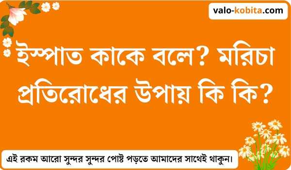 ইস্পাত কাকে বলে? মরিচা প্রতিরোধের উপায় কি কি?