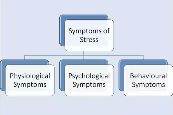 Symptoms of Stress & Consequences of Stress