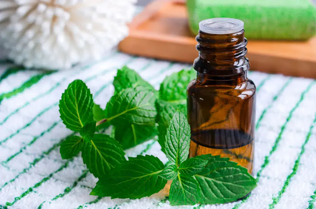 The essential oil of peppermint